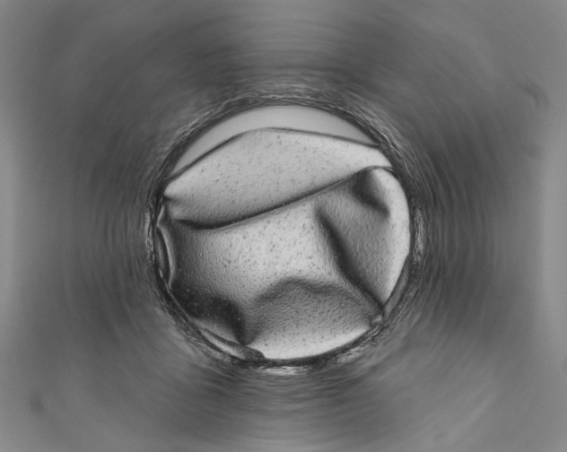 X0000110960411200907101332