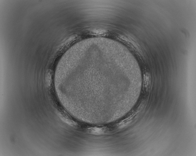 X0000110960412200907101332