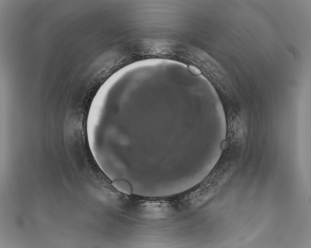 X0000110960415200907101332