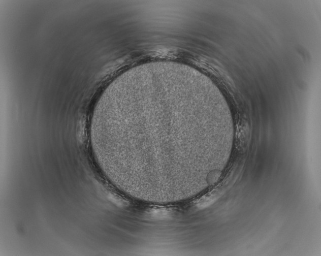 X0000110960416200907101332