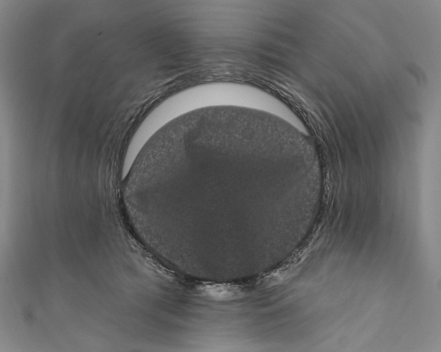 X0000110960417200907101332