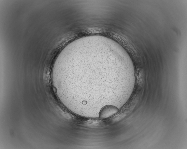 X0000110960418200907101332