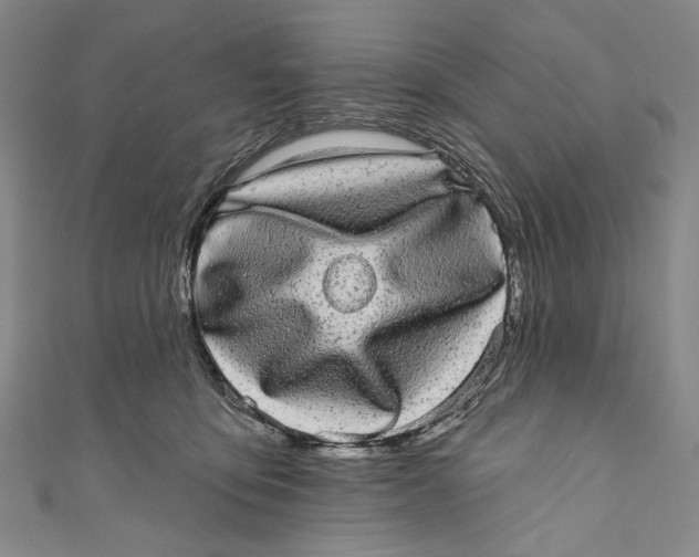 X0000110960419200907101332