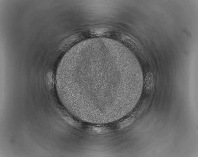 X0000110960420200907101332