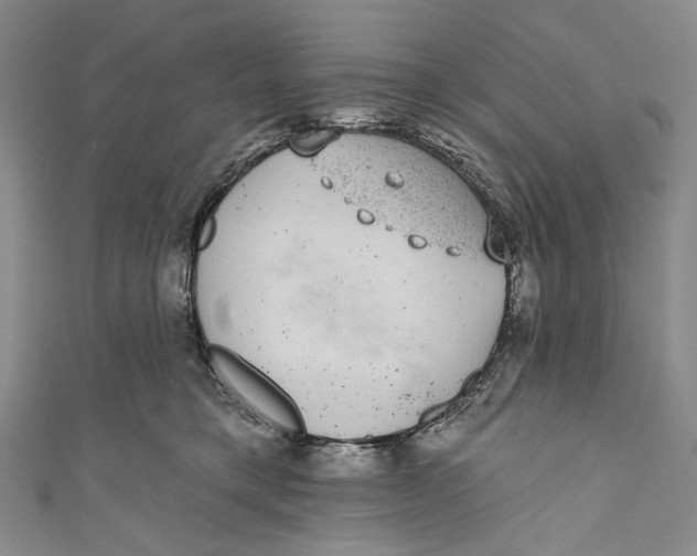 X0000110960421200907101332