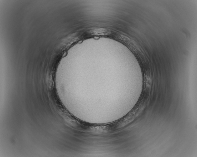 X0000110960422200907101331