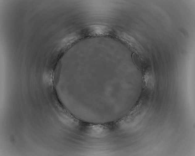 X0000110960423200907101331