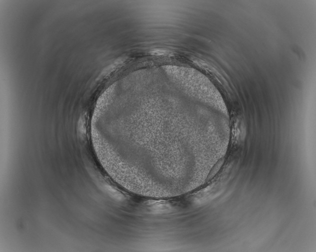 X0000110960424200907101331