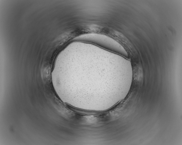 X0000110960425200907101331