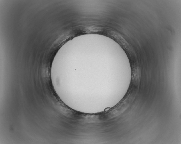 X0000110960426200907101331