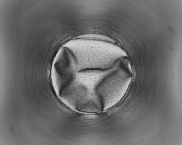 X0000110960427200907101331