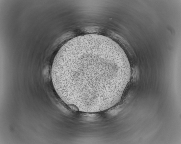 X0000110960428200907101331