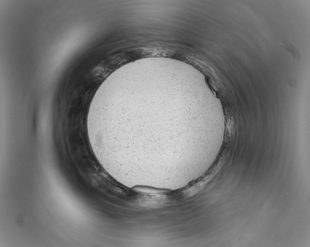 X0000110960429200907101331