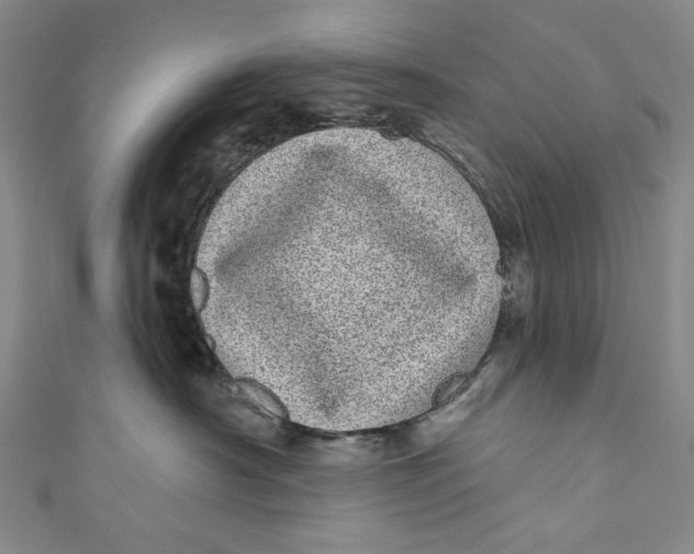 X0000110960430200907101331