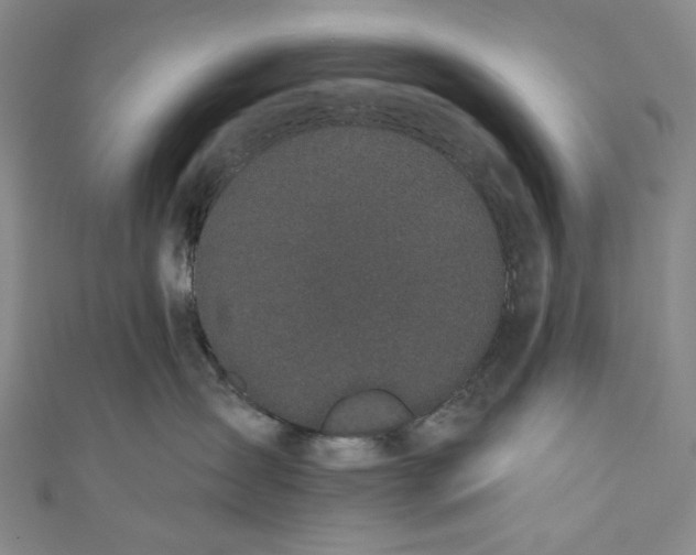 X0000110960431200907101331