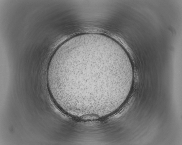 X0000110960433200907101331