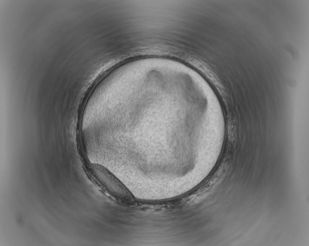 X0000110960434200907101331