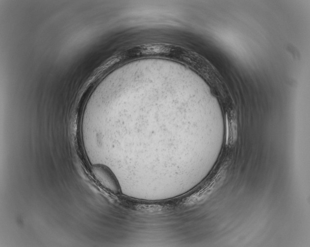 X0000110960435200907101331