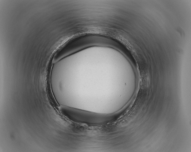 X0000110960436200907101331