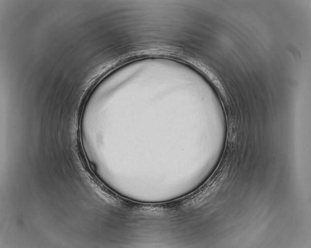 X0000110960437200907101331