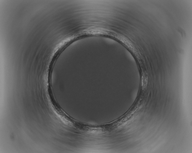 X0000110960438200907101331