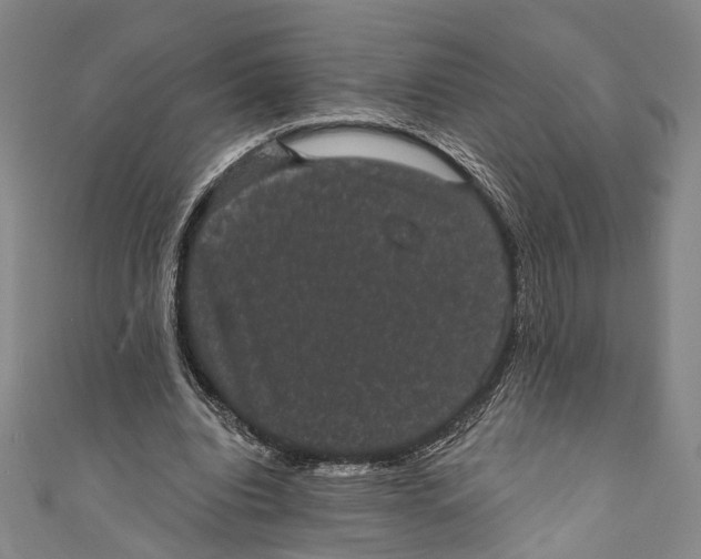 X0000110960440200907101331