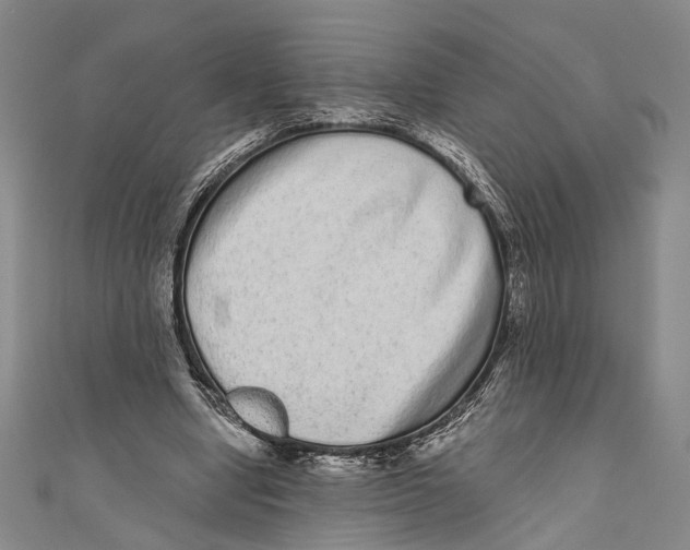 X0000110960442200907101331