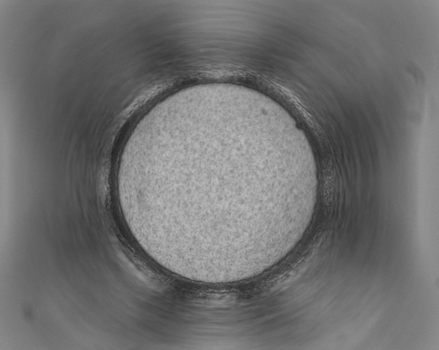 X0000110960443200907101331