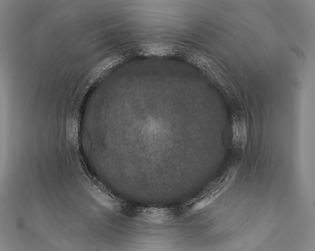 X0000110960444200907101331