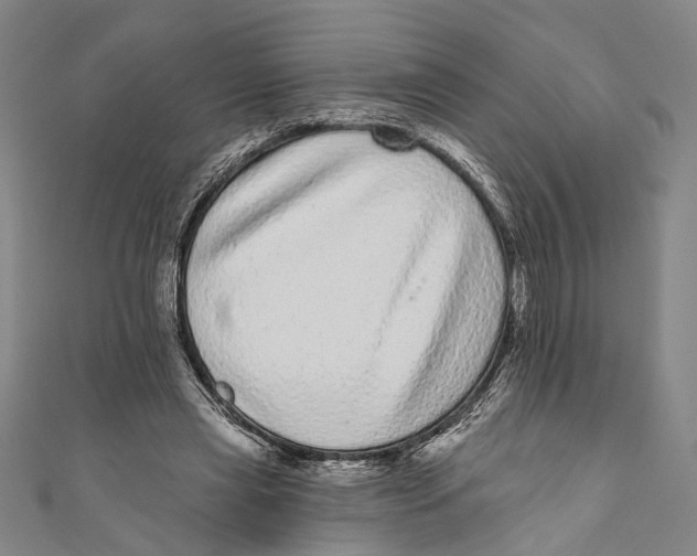 X0000110960445200907101331