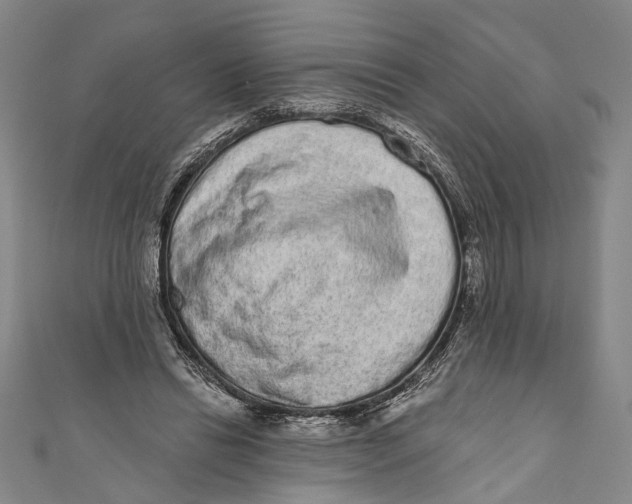 X0000110960446200907101331