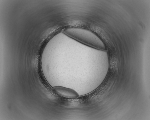 X0000110960448200907101331