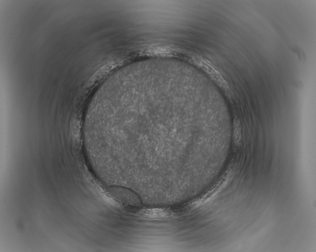 X0000110960449200907101331