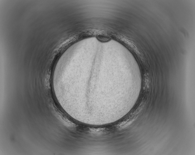 X0000110960450200907101331