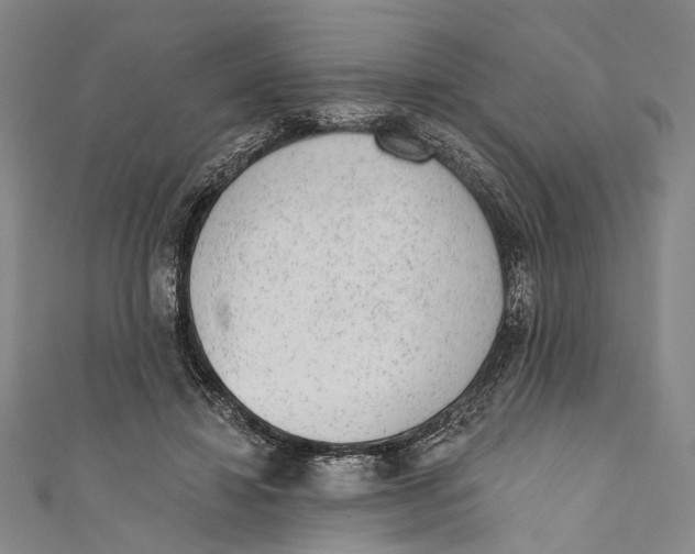 X0000110960452200907101331