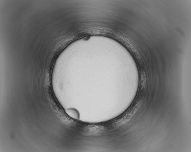 X0000110960453200907101331