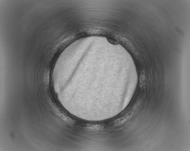 X0000110960454200907101331