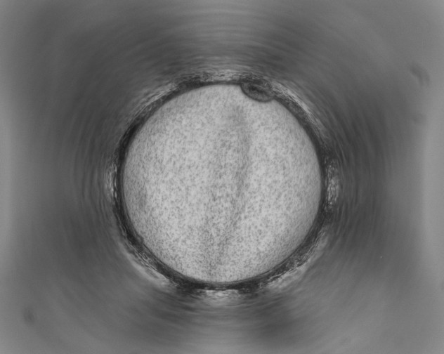 X0000110960455200907101331