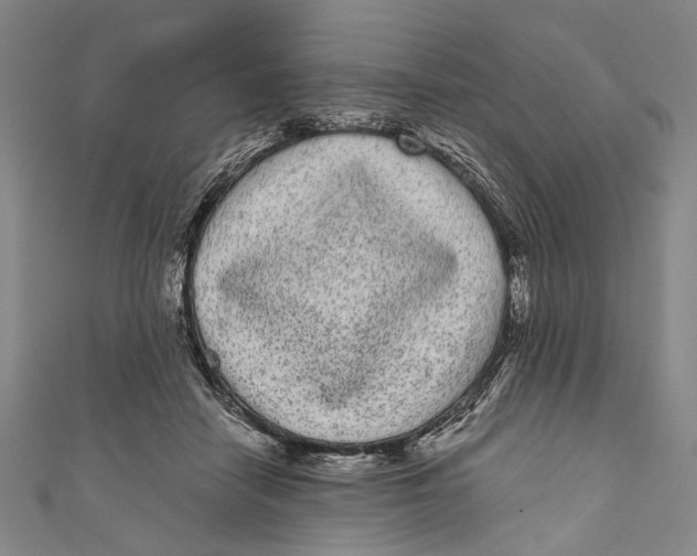 X0000110960458200907101331