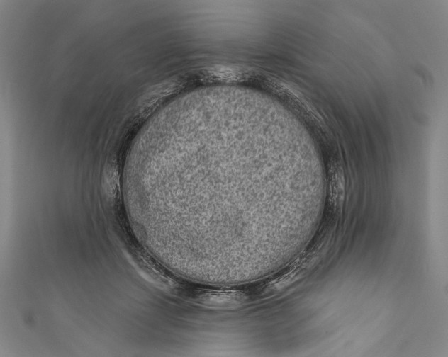 X0000110960459200907101331