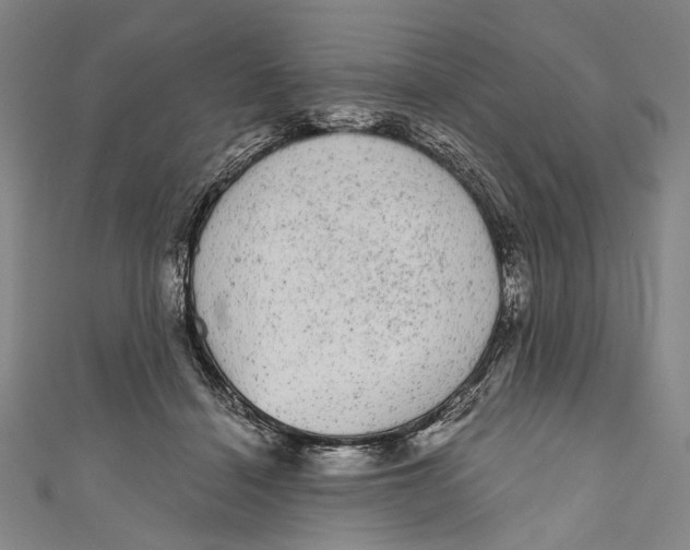 X0000110960460200907101331