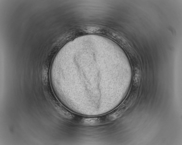 X0000110960461200907101331