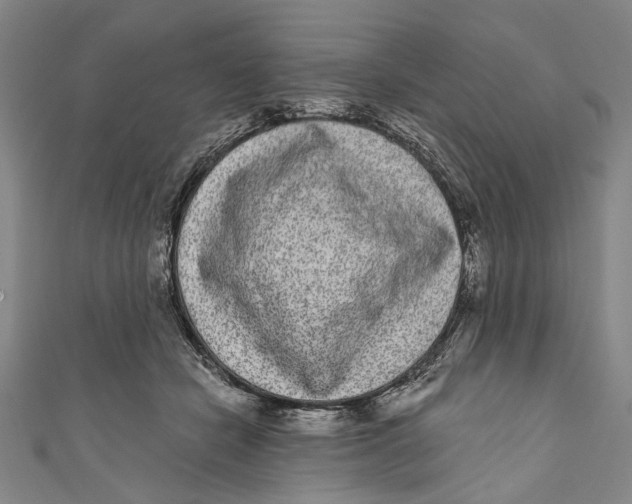 X0000110960462200907101331