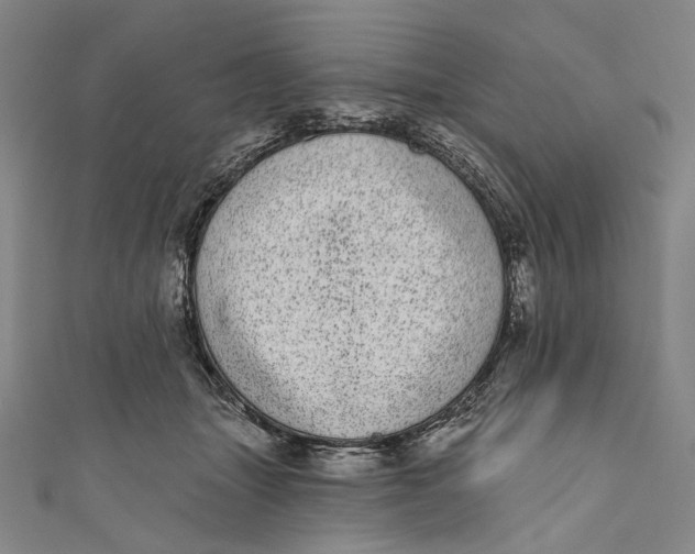 X0000110960463200907101331