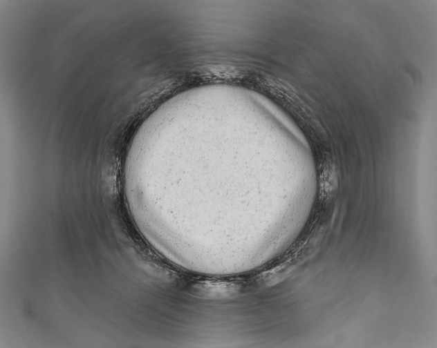 X0000110960464200907101331