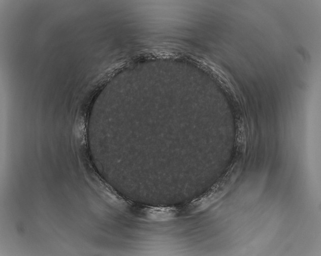 X0000110960465200907101331