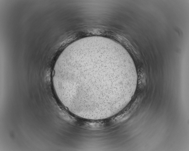 X0000110960466200907101331