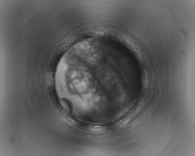 X0000110960467200907101331