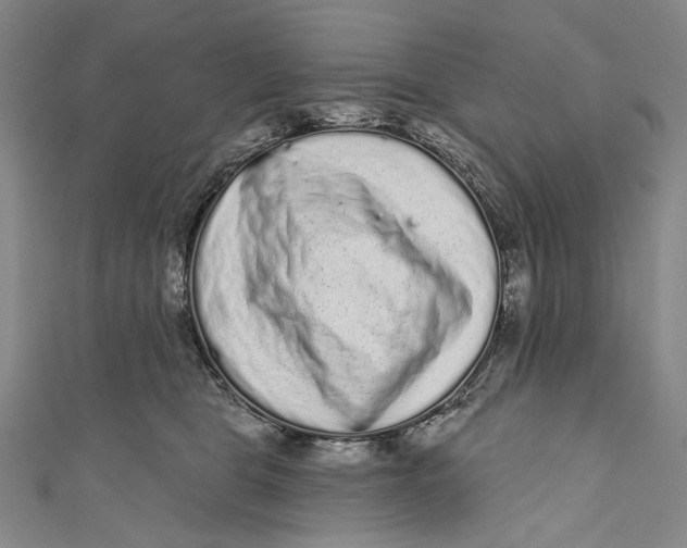 X0000110960469200907101331