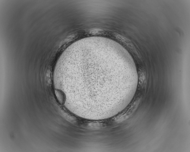 X0000110960470200907101331